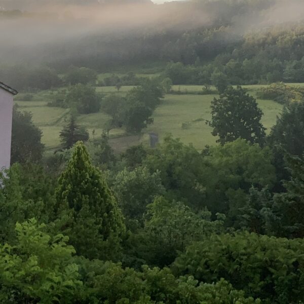 Vue de la terrasse