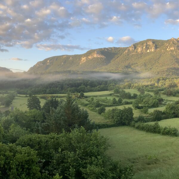 Vue de la terrasse